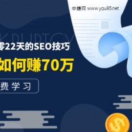 某付费阅读内容：实战4年8个月零22天的SEO技巧：一篇内容如何赚70W！