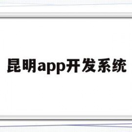 昆明app开发系统(昆明app软件专业开发公司)