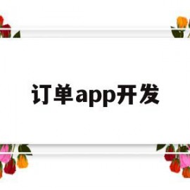 订单app开发(我的订单app)