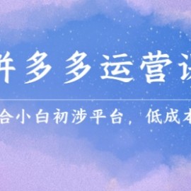 拼多多运营课，适合小白初涉平台，低成本入门 创造销量和利润的方法