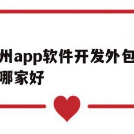 杭州app软件开发外包公司哪家好(杭州app软件开发外包公司哪家好点)