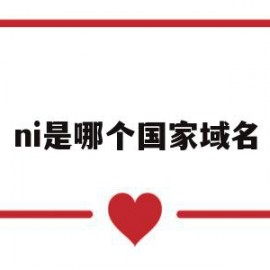 ni是哪个国家域名(cn是哪个国家的顶级域名)