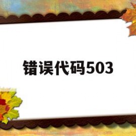 错误代码503(向日葵登录错误代码503)