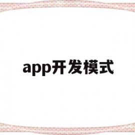 app开发模式(app开发主要是哪两种模式)