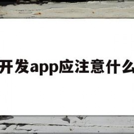 开发app应注意什么(开发app应注意什么问题)