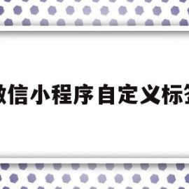 微信小程序自定义标签(微信小程序自定义标签怎么设置)