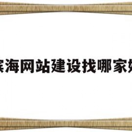 滨海网站建设找哪家好(滨海网滨海论坛招聘)