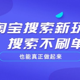 淘宝搜索新玩法，搜索不刷单也能真正做起来，价值980元