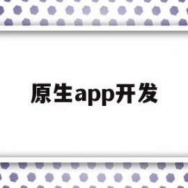 原生app开发(原生app开发教程)