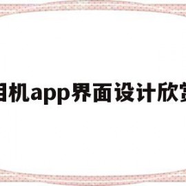 包含相机app界面设计欣赏的词条