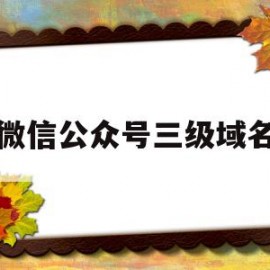 微信公众号三级域名(微信公众号域名是什么意思)