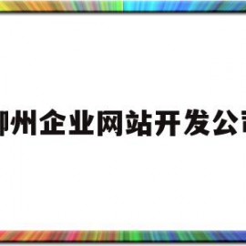 柳州企业网站开发公司(柳州企业网站开发公司有哪些)