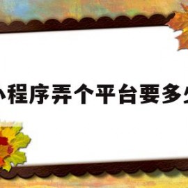 在小程序弄个平台要多少钱(做一个小程序平台费用是多少)