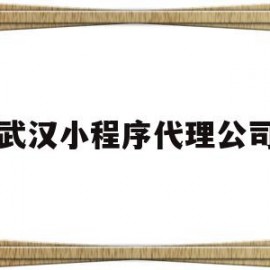 武汉小程序代理公司(武汉小程序代理公司排名)