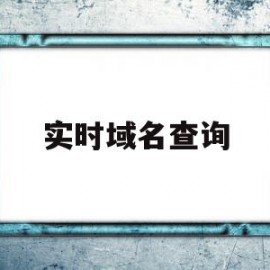 关于实时域名查询的信息