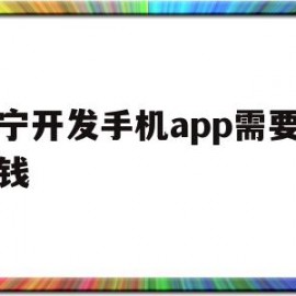 南宁开发手机app需要多少钱(南宁开发手机app需要多少钱一年)