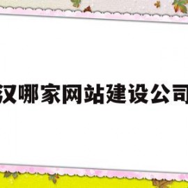 武汉哪家网站建设公司好(武汉哪家网站建设公司好一点)