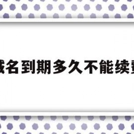 域名到期多久不能续费(域名到期后多久没续费可以购买)