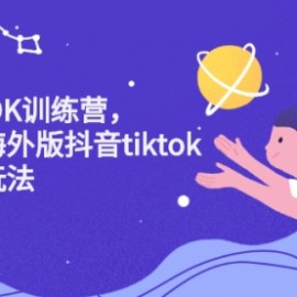 2022最新Tiktok百万训练营，黑科技带你赚美元