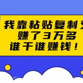 粘贴复制赚钱术，我靠粘贴复制又赚了3万多，月入20万的项目 谁干谁赚钱