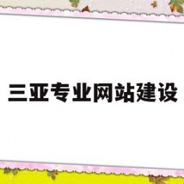 三亚专业网站建设(三亚建设工程招标网)