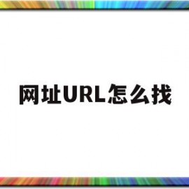 网址URL怎么找(网址url地址怎么查)