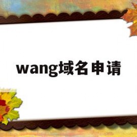 wang域名申请(域名申请https)