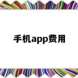 手机app费用(app收费是什么意思)