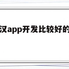 武汉app开发比较好的公司(武汉app开发比较好的公司有哪些)