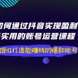 如何通过抖音实现盈利，最实用的账号运营课程 从0到1打造能赚钱的爆款账号