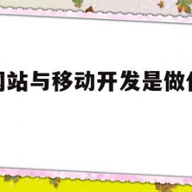 微网站与移动开发是做什么的的简单介绍