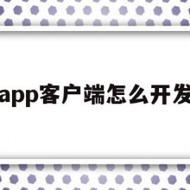 app客户端怎么开发(app客户端怎么开发的)