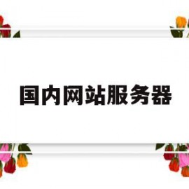 国内网站服务器(国内网站服务器有哪些)