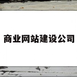 商业网站建设公司的简单介绍