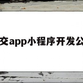 社交app小程序开发公司(社交app小程序开发公司有哪些)