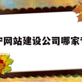 南宁网站建设公司哪家专业(济南网站建设哪家专业)