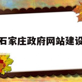 石家庄政府网站建设(石家庄政府网站建设招标)