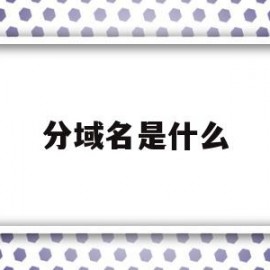 关于分域名是什么的信息