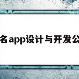 著名app设计与开发公司的简单介绍