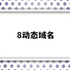 8动态域名(动态域名是什么)