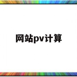 网站pv计算(网站的pv和uv)