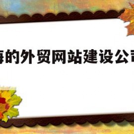 上海的外贸网站建设公司价格(上海的外贸网站建设公司价格多少)