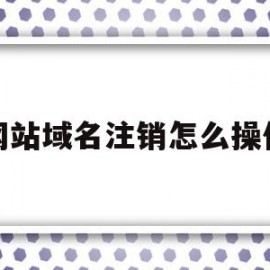 网站域名注销怎么操作(网站域名注销怎么操作的)