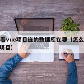 怎么看vue项目连的数据库在哪（怎么看懂vue项目）