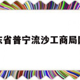 包含广东省普宁流沙工商局网站的词条