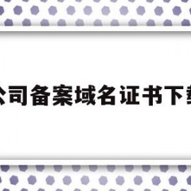 公司备案域名证书下载(公司备案域名证书下载什么软件)