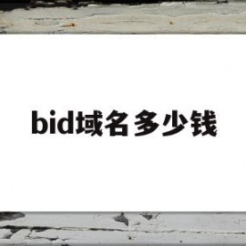 bid域名多少钱(biz域名值不值得买)