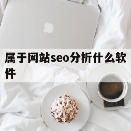 属于网站seo分析什么软件(属于网站seo分析什么软件好用)