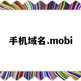 手机域名.mobi(手机域名访问网站怎么进入)