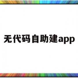 无代码自助建app(无代码搭建平台)